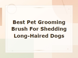 Best Pet Grooming Brush for Shedding Long-Haired Dogs: Top Picks & Reviews