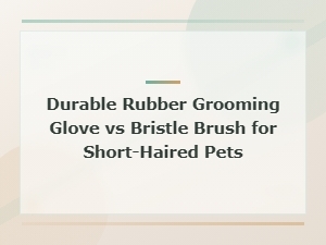 Durable Rubber Grooming Glove vs Bristle Brush for Short-Haired Pets