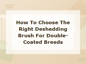 Best Deshedding Brushes for Double-Coated Dog Breeds: How to Choose the Right One