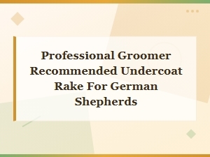 Best Professional Groomer Recommended Undercoat Rake for German Shepherds